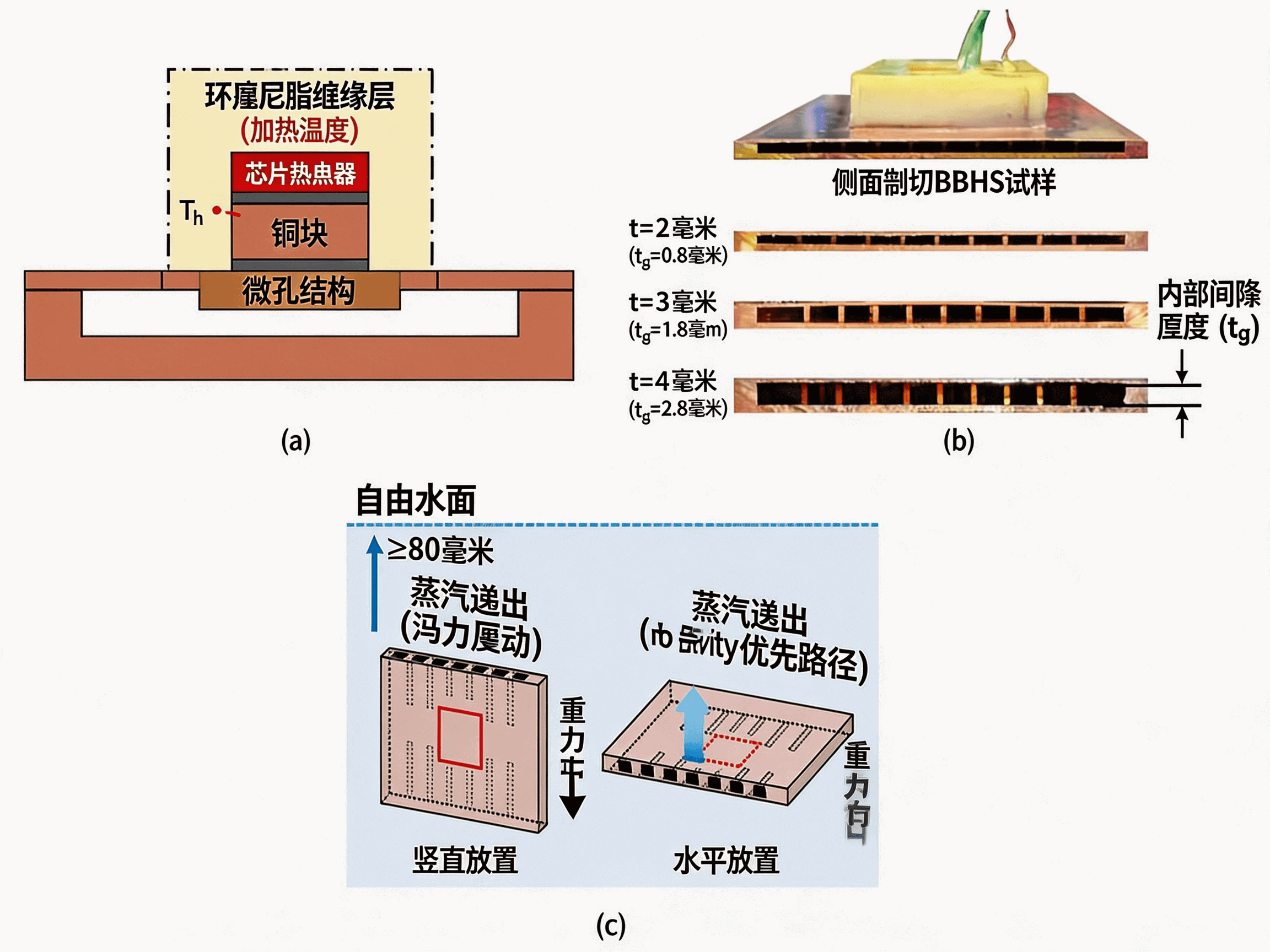 图 4 用于窄间隙池沸腾实验的侧切 BDHS 试样:(a)侧切试样示意图,(b)显示内部间隙厚度的截面图像,以及(c)池沸腾实验条件.png